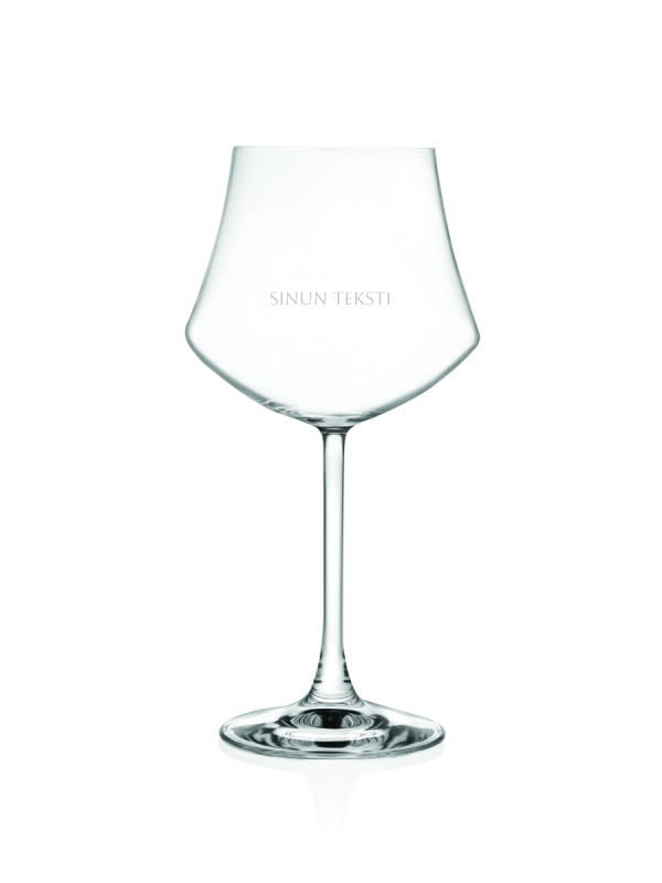 Ego Punaviinilasi 50 cl 2kpl